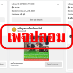 เพจปลอม (1)