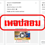 เพจปลอม (2)