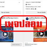 เพจปลอม (3)